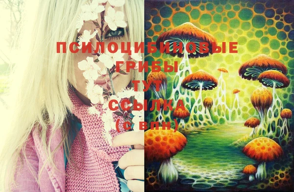 кокаин Липки