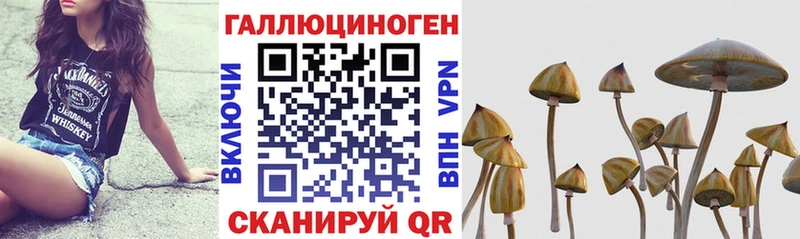 omg маркетплейс  Нюрба  Псилоцибиновые грибы Psilocybine cubensis  наркошоп 