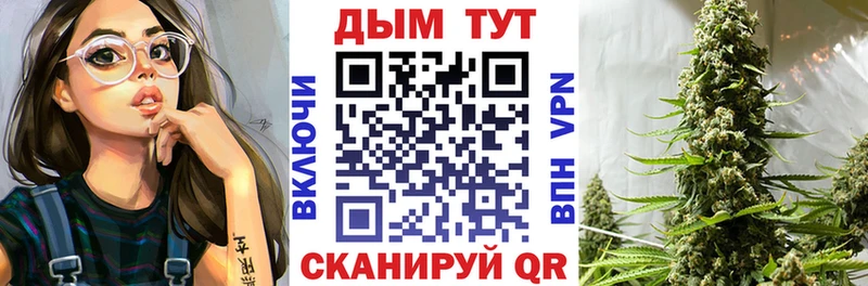 Канабис гибрид  Нюрба 